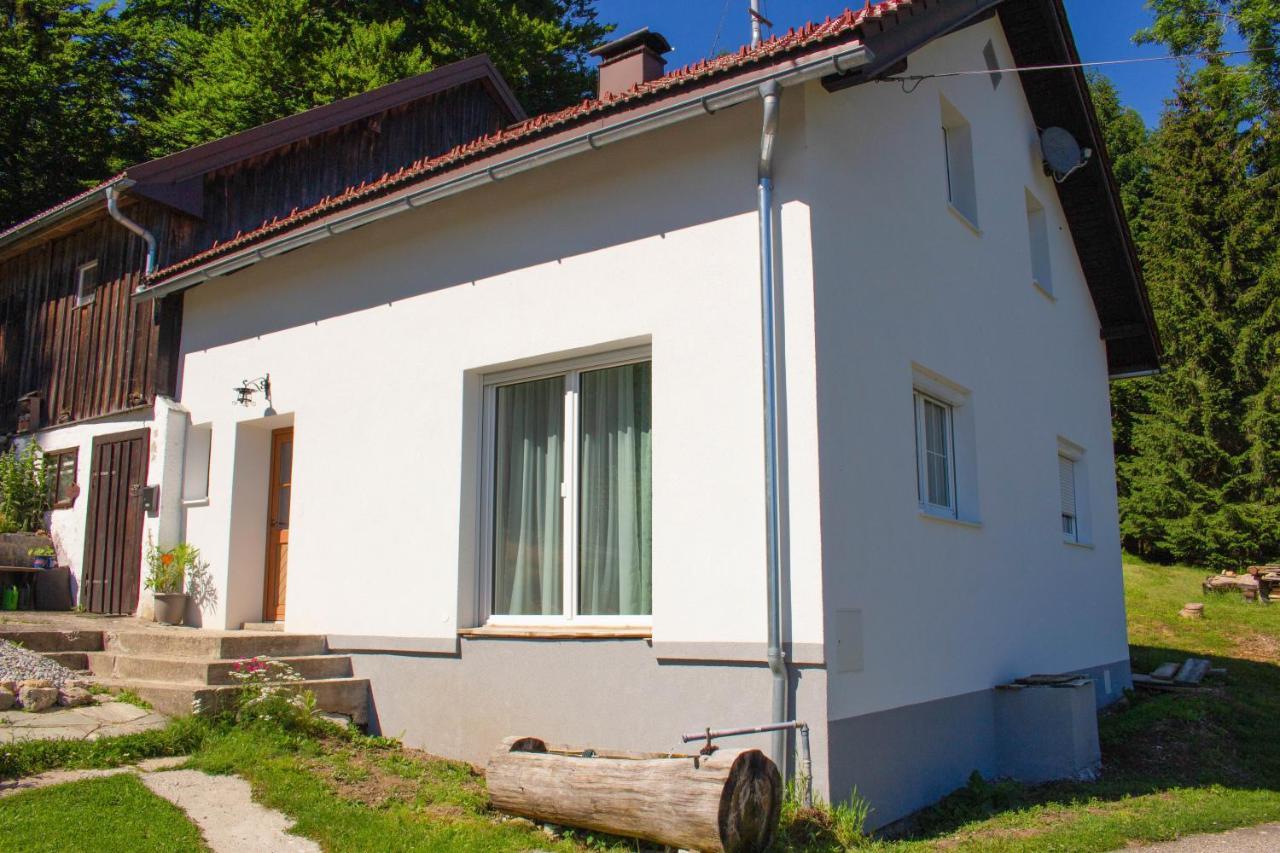 Ferienhaus Ploeckenstein Schwarzenberg am Bohmerwald Bagian luar foto